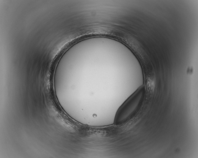 X0000111630676200907311228