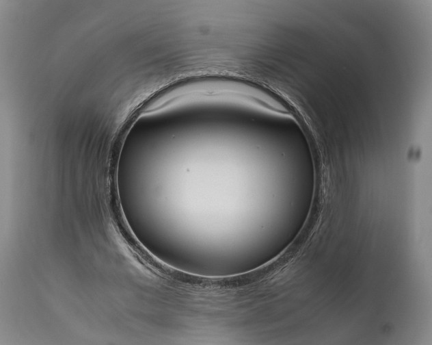 X0000111630677200907311228