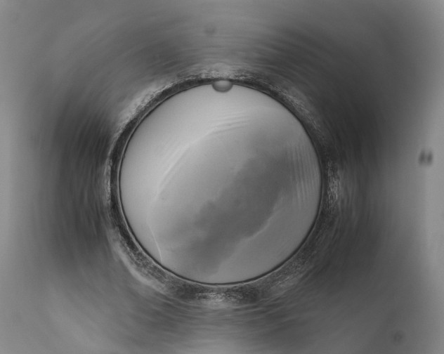 X0000111630678200907311228