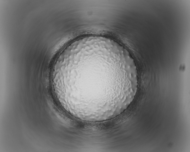 X0000111630679200907311228