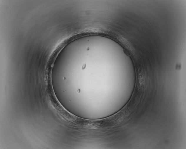 X0000111630680200907311228