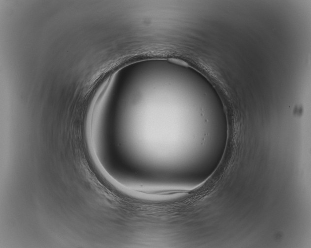 X0000111630681200907311228