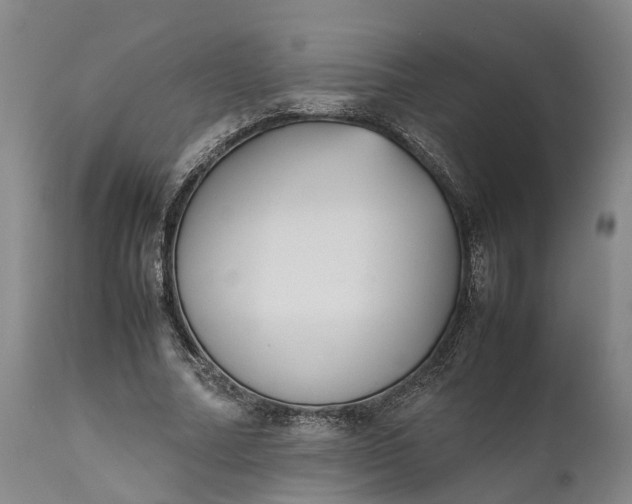 X0000111630682200907311228