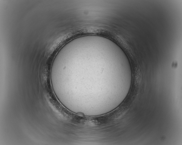 X0000111630683200907311228