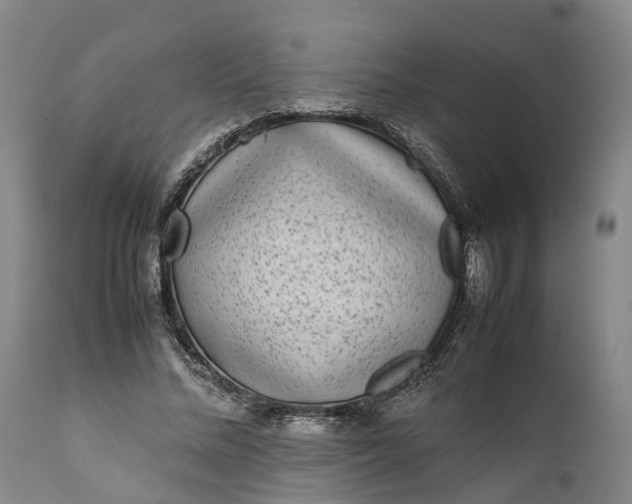 X0000111630684200907311228