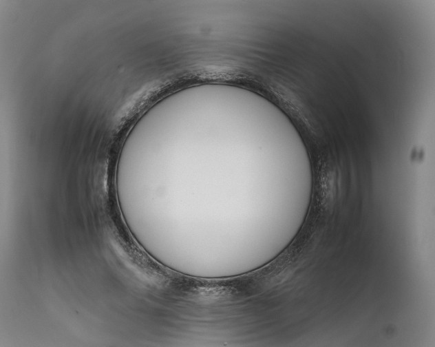 X0000111630686200907311228