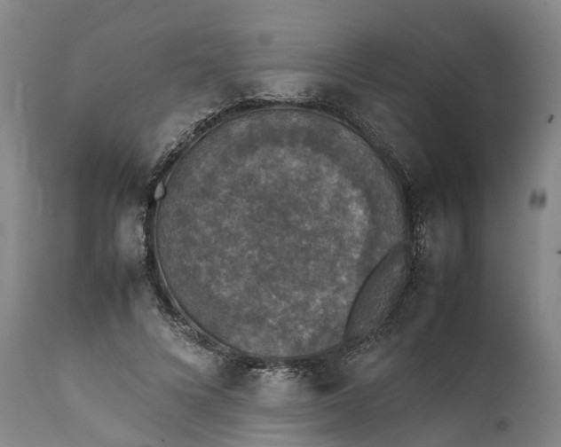 X0000111630688200907311228