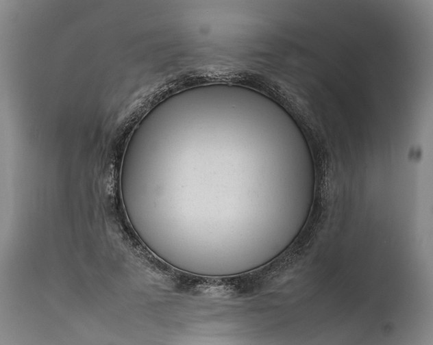 X0000111630689200907311228