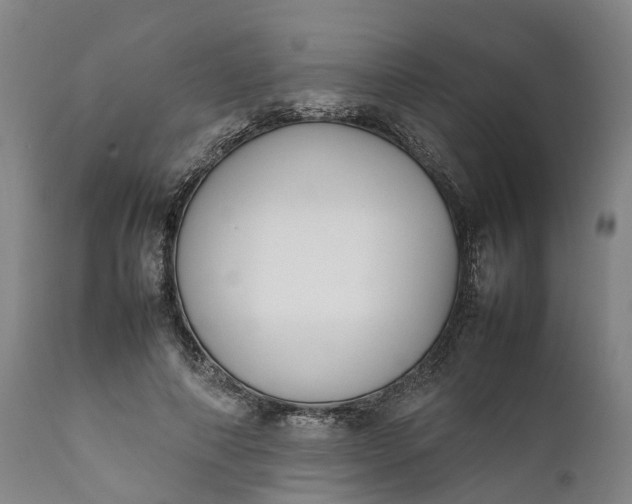 X0000111630690200907311228