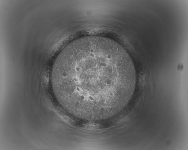 X0000111630691200907311228