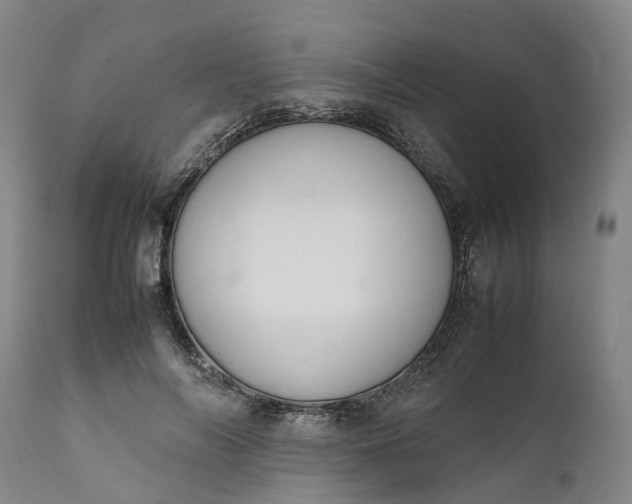 X0000111630694200907311228