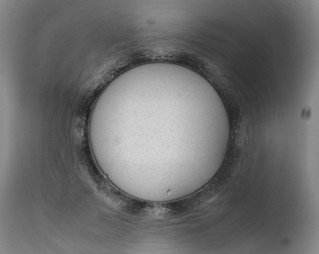 X0000111630695200907311228