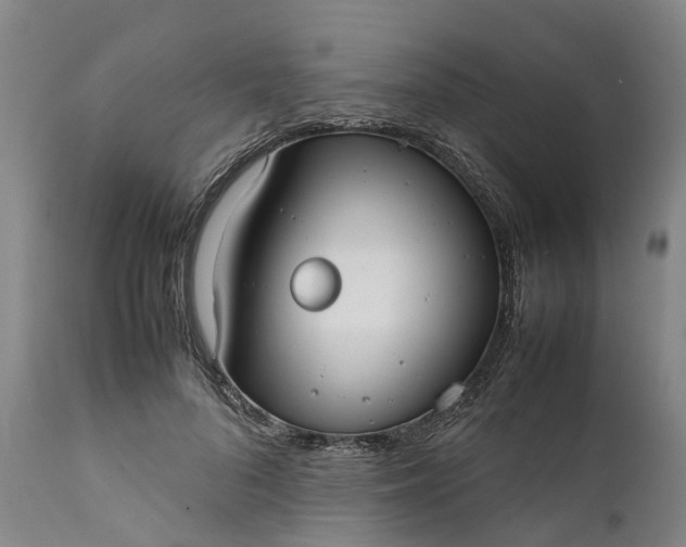 X0000111630696200907311228