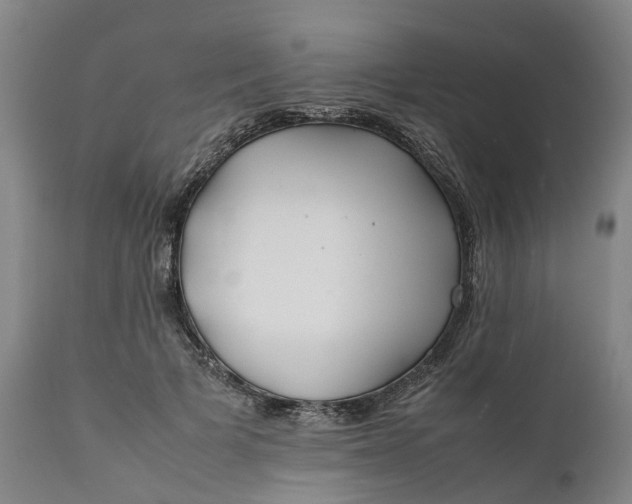 X0000111630697200907311228