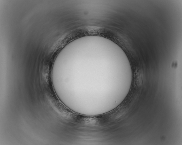 X0000111630698200907311228