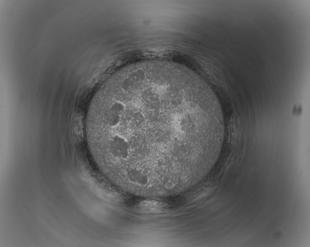 X0000111630699200907311228