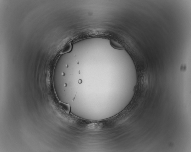 X0000111630700200907311228