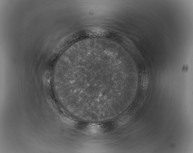 X0000111630701200907311228