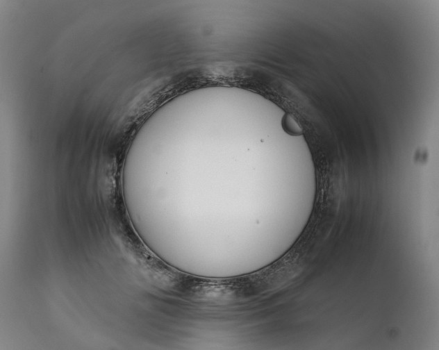 X0000111630702200907311228