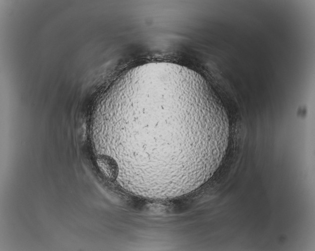 X0000111630703200907311228