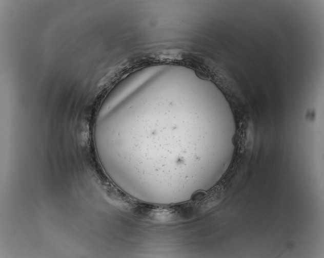 X0000111630704200907311228