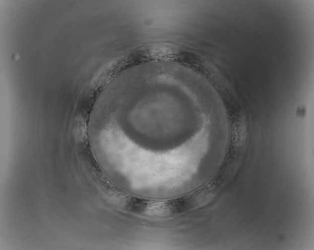 X0000111630705200907311228