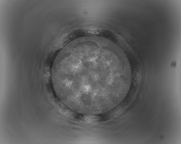 X0000111630707200907311227