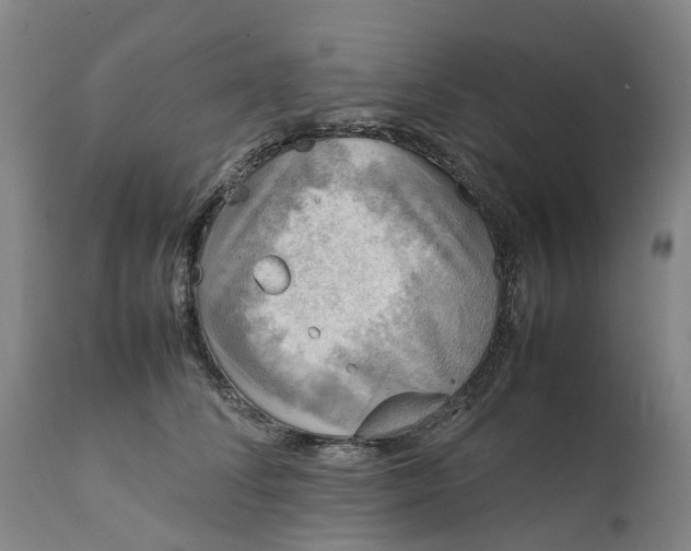 X0000111630708200907311227