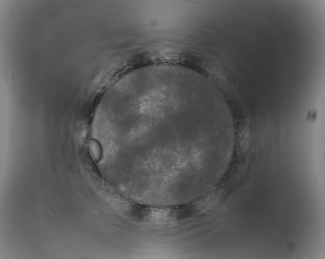 X0000111630709200907311227