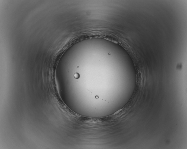 X0000111630712200907311227