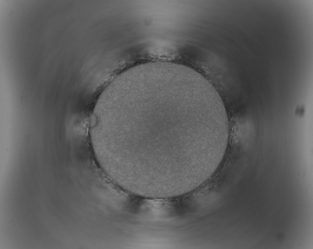 X0000111630713200907311227