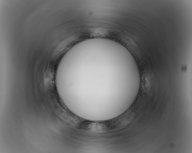 X0000111630714200907311227