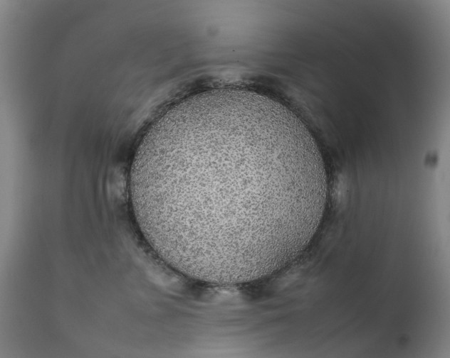 X0000111630715200907311227