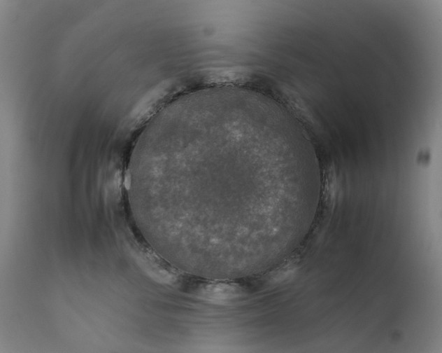 X0000111630716200907311227