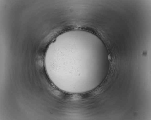 X0000111630719200907311227