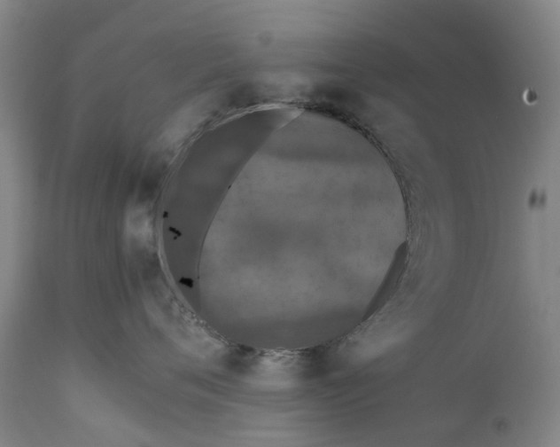 X0000111630720200907311227