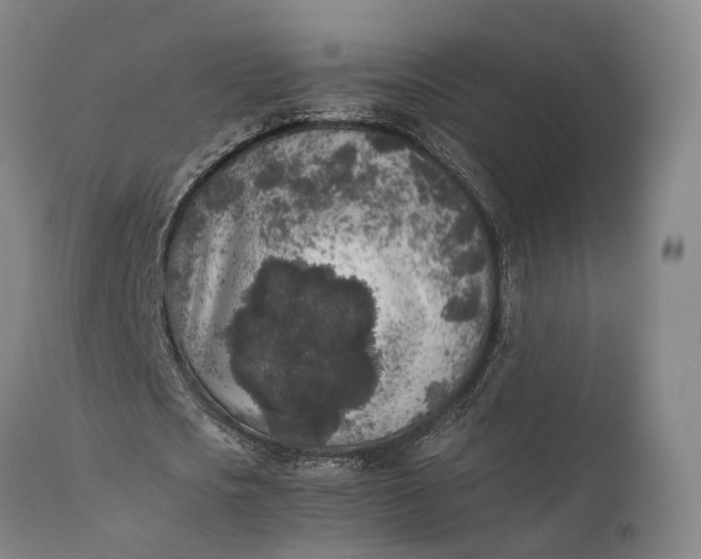 X0000111630721200907311226