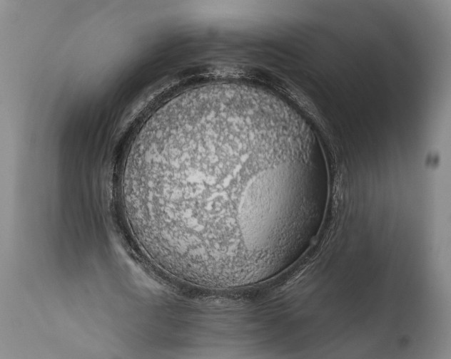 X0000111630722200907311226