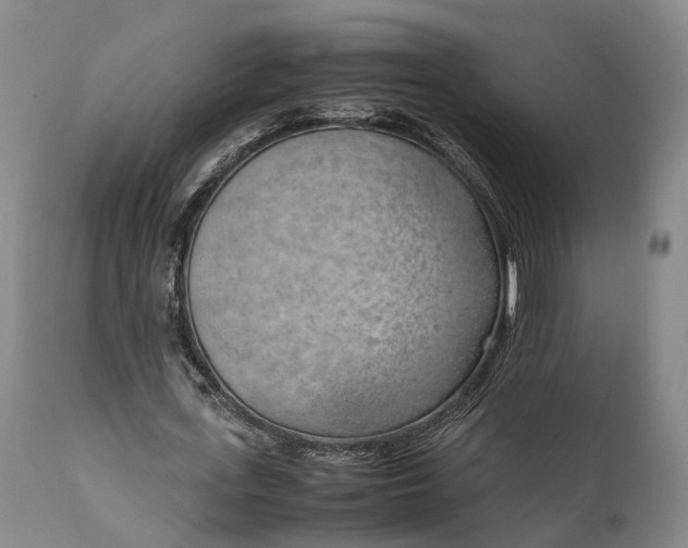 X0000111630723200907311226