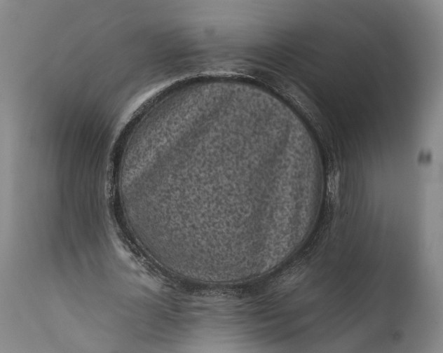 X0000111630724200907311226