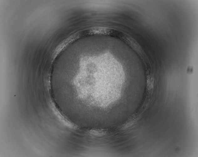 X0000111630725200907311226