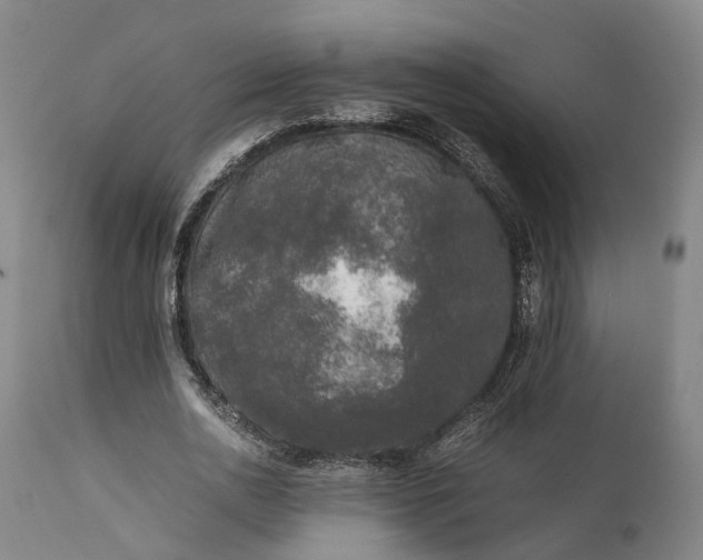 X0000111630726200907311226