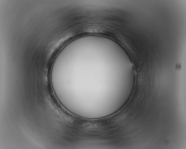 X0000111630727200907311226