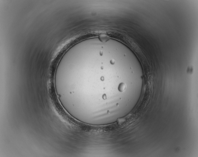 X0000111630728200907311226