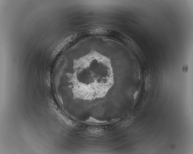 X0000111630729200907311226