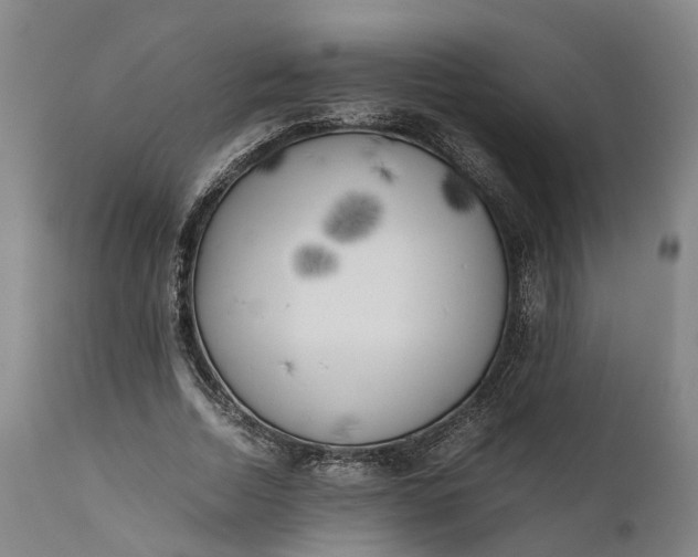 X0000111630730200907311226