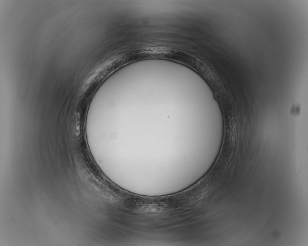 X0000111630731200907311226