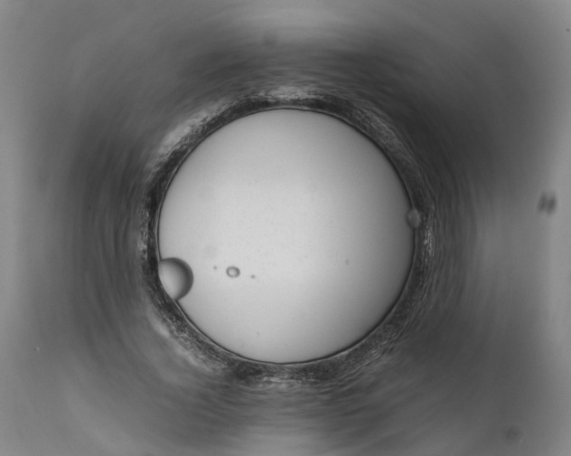 X0000111630732200907311226