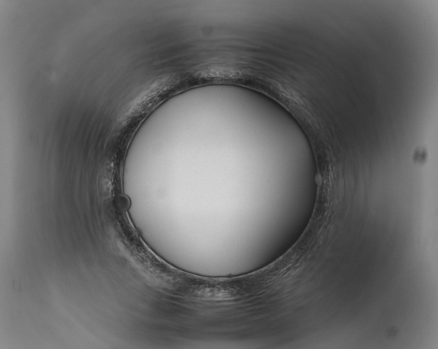 X0000111630735200907311226