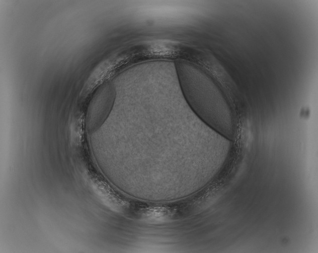 X0000111630736200907311227